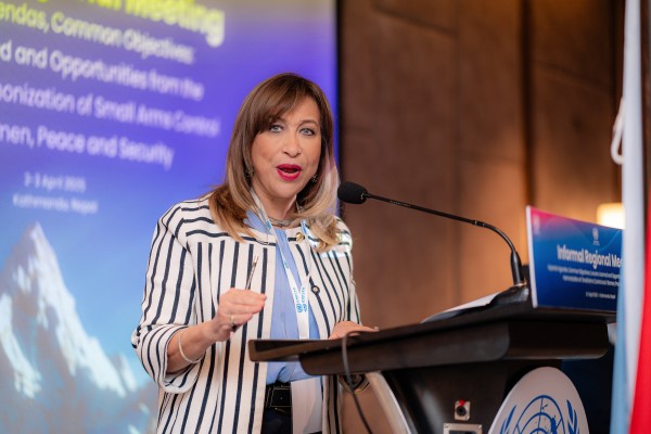 Informal Regional Meeting to discuss Lessons Learned and Opportunities from the Progressive Harmonization of Small Arms Control and Women, Peace and Security