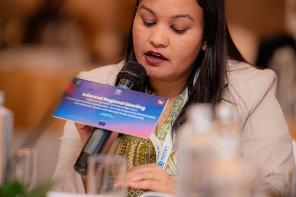 Informal Regional Meeting to discuss Lessons Learned and Opportunities from the Progressive Harmonization of Small Arms Control and Women, Peace and Security