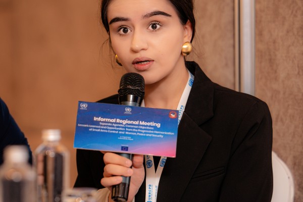 Informal Regional Meeting to discuss Lessons Learned and Opportunities from the Progressive Harmonization of Small Arms Control and Women, Peace and Security