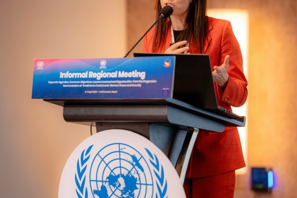 Informal Regional Meeting to discuss Lessons Learned and Opportunities from the Progressive Harmonization of Small Arms Control and Women, Peace and Security