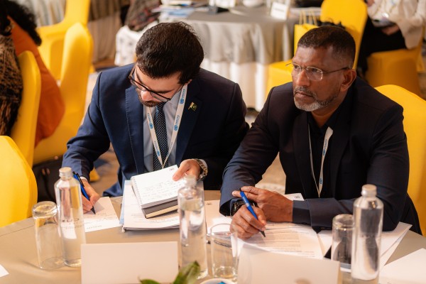 Informal Regional Meeting to discuss Lessons Learned and Opportunities from the Progressive Harmonization of Small Arms Control and Women, Peace and Security